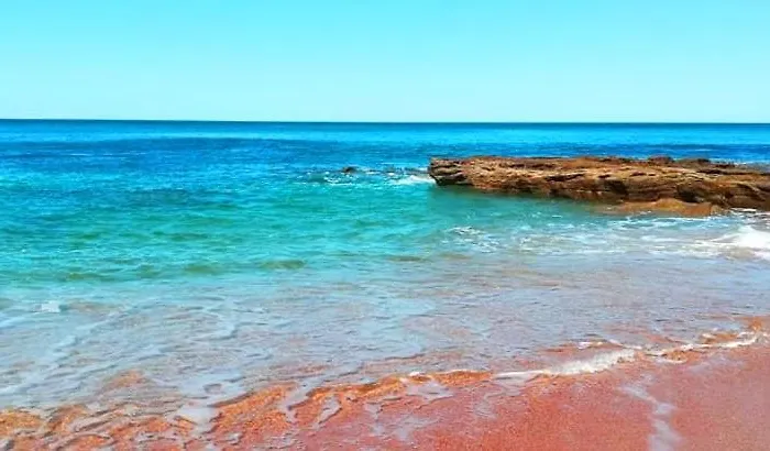 Joana Vasconcelos, Ocean View & Pool - Pata Da Gaivota *